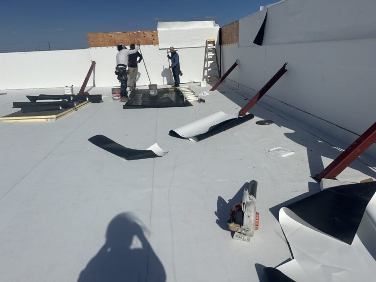 Photo Mar 18 2025, 4 47 04 PM